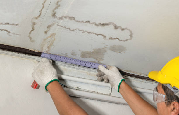 Reliable Burst Pipe Cleanup contractor in Lansing, MI by Water Damage Irwin